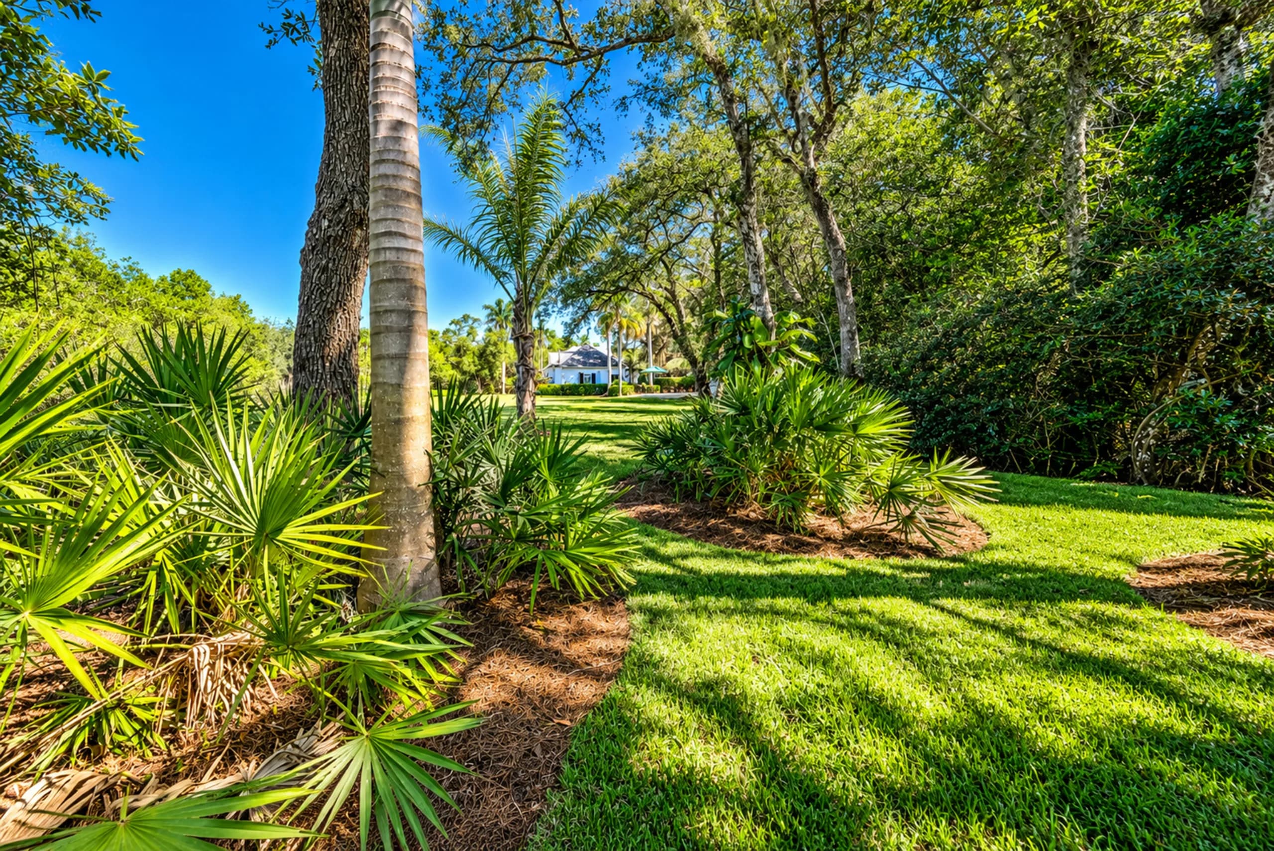 216 Cocohatchee Blvd