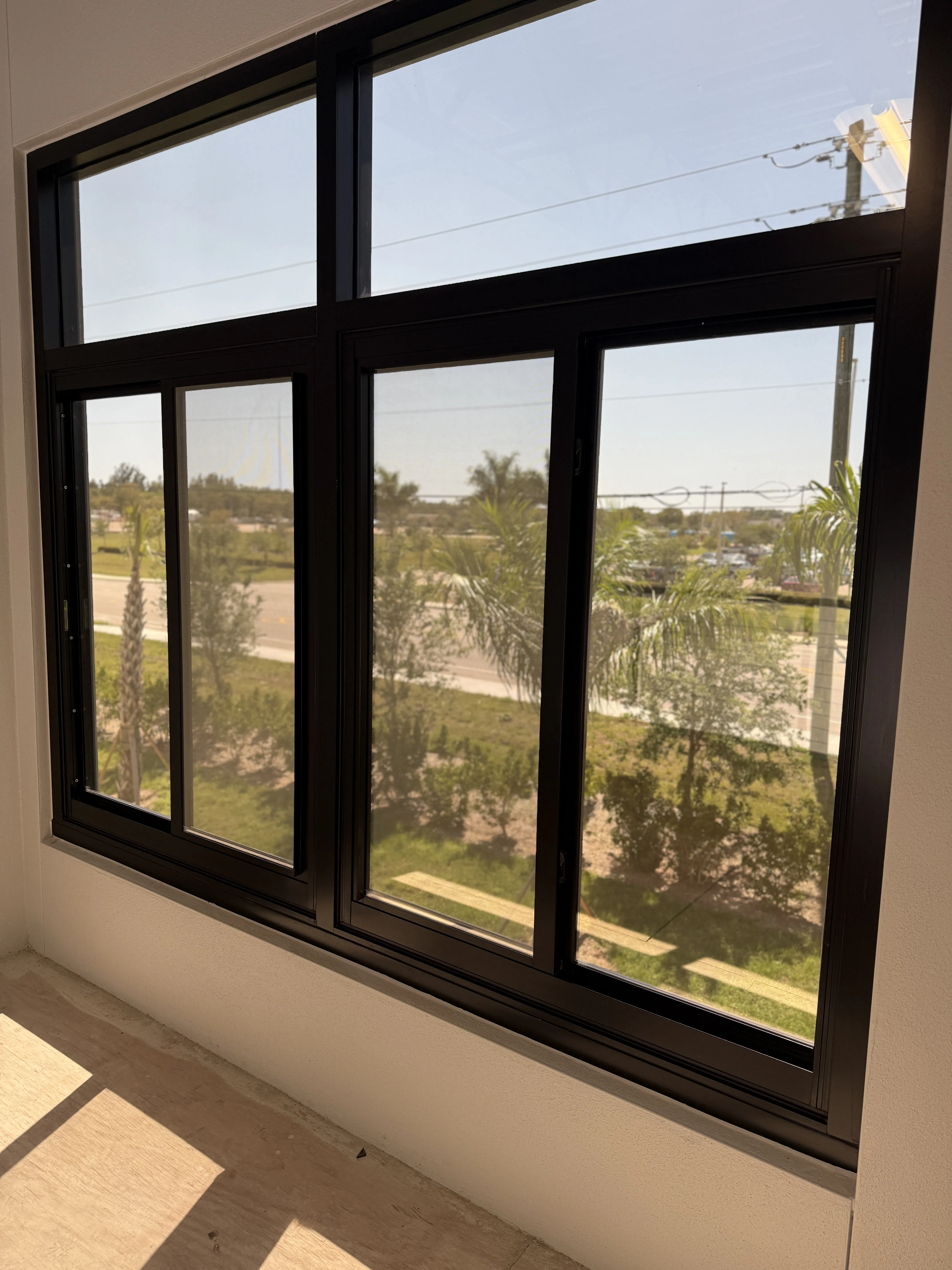 Mezzanine window looking out to palms and landscaping